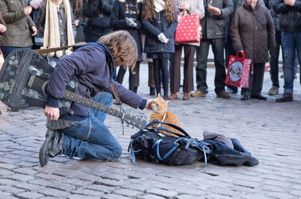 Уличный кот по кличке Боб (2016) - фото 4
