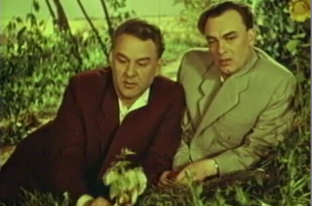 Калиновая Роща (1953) - фото 2