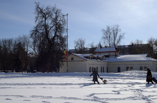 Огород (2022) - фото 23