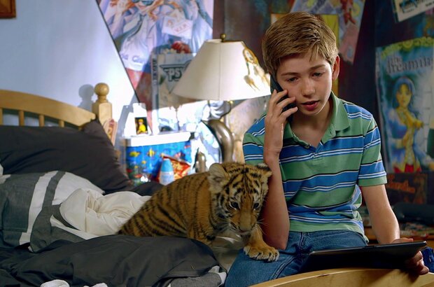 A Tiger's Tail (2014) - photo 2