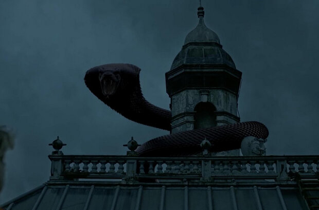 Snake Hotel (2023) - photo 1