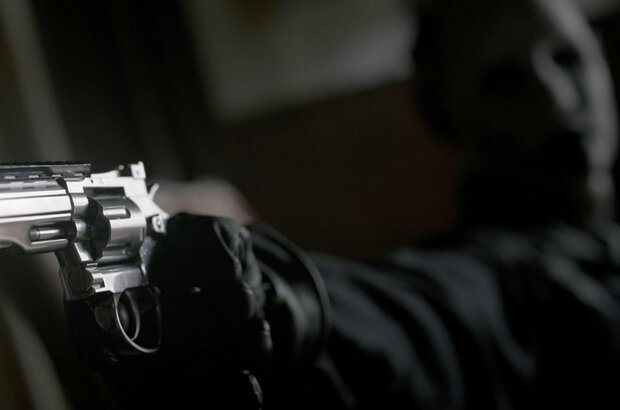Snake Hotel (2023) - photo 4
