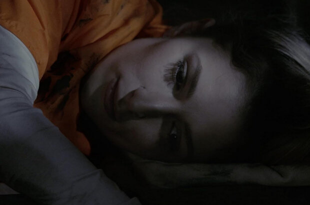 Snake Hotel (2023) - photo 5