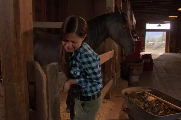 Flicka 2 (2010) - photo 1