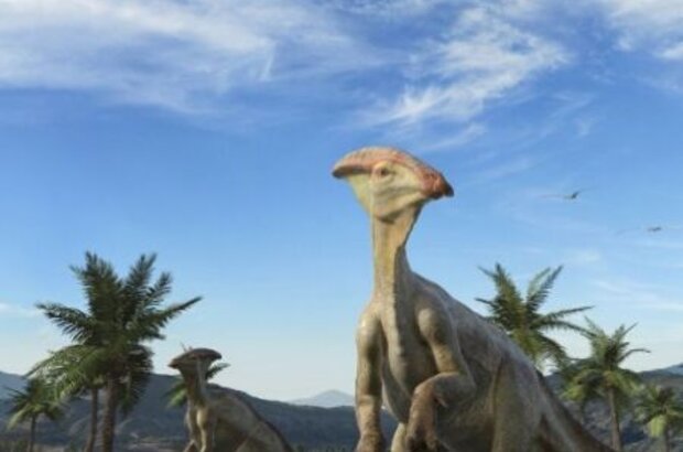 Морские динозавры 3D: Путешествие в Доисторический Мир (2010) - фото 1