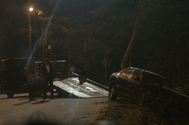 New Year's wife (2012) - photo 3