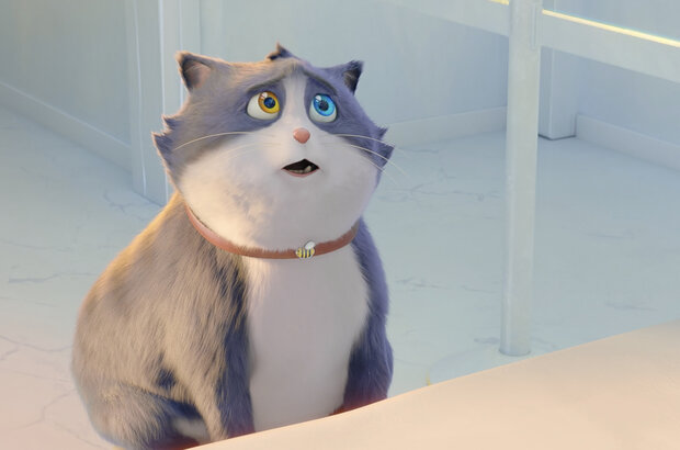 10 Lives (2024) - photo 20