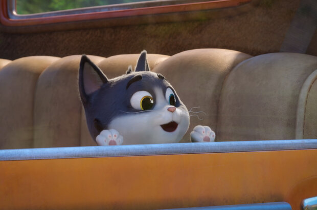 10 Lives (2024) - photo 10