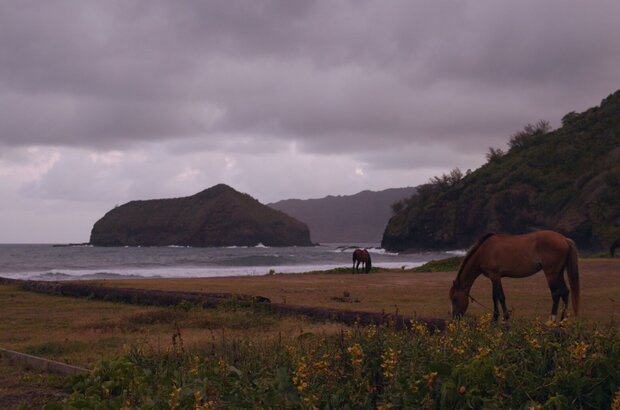 Gauguin in Tahiti: Paradise Lost (2019) - photo 1