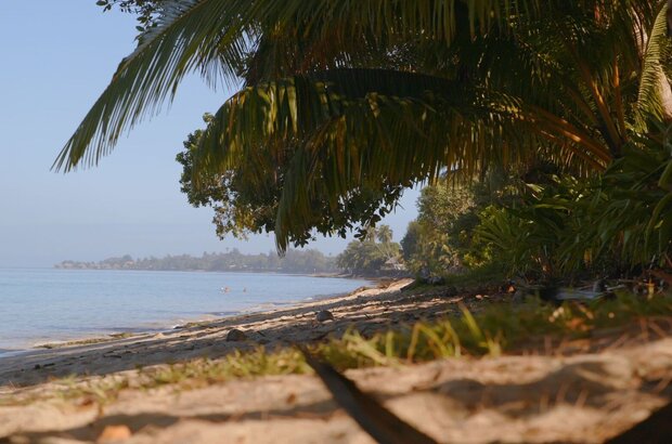 Gauguin in Tahiti: Paradise Lost (2019) - photo 4