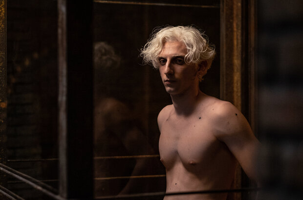 Freaks Out (2021) - photo 8