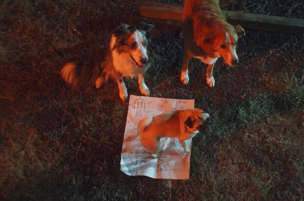 Junkyard Dogs (2022) - photo 5