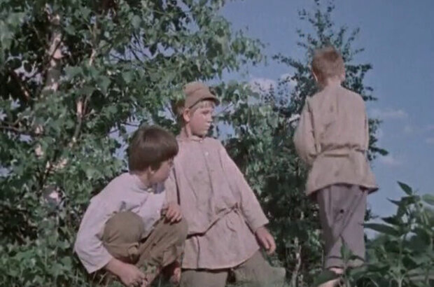 Тайна зеленого бора (1960) - фото 3
