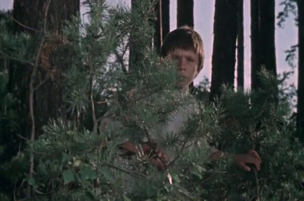 Тайна зеленого бора (1960) - фото 10