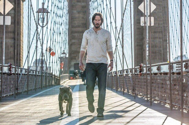 John Wick: Chapter 2 (2016) - photo 2