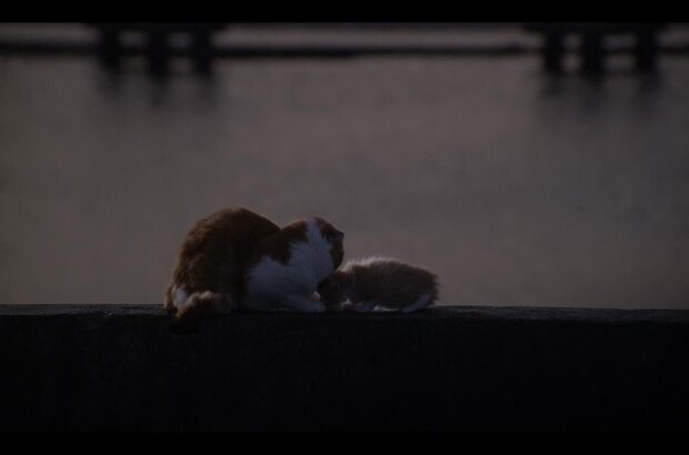 Confessions (2010) - photo 2