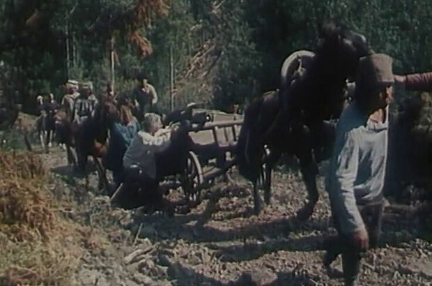 Ne stavte Leshemu kapkany... (1981) - photo 1