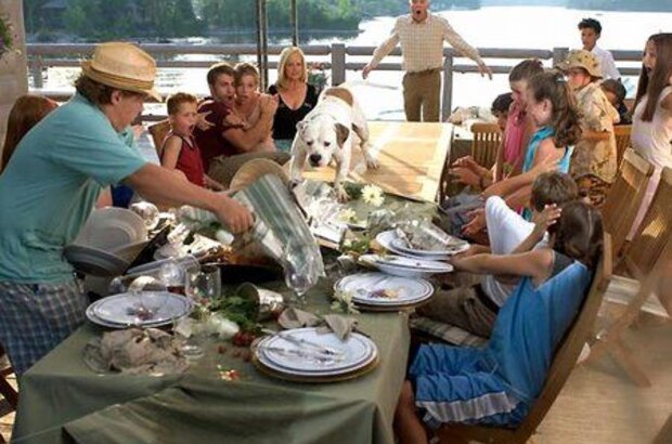 Cheaper by the Dozen 2 (2005) - photo 3