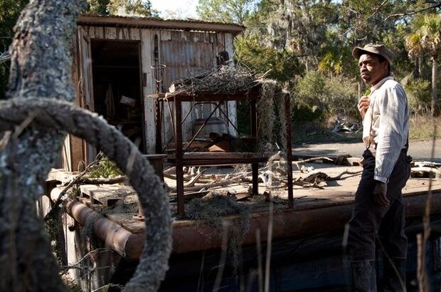 Savannah (2013) - photo 5