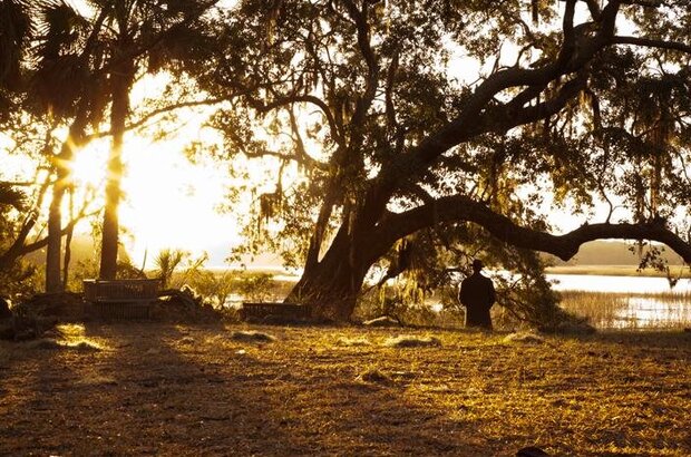 Savannah (2013) - photo 6