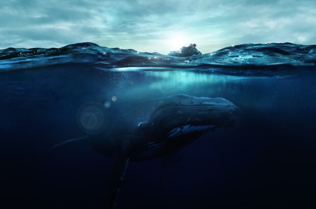 Fathom (2021) - photo 2