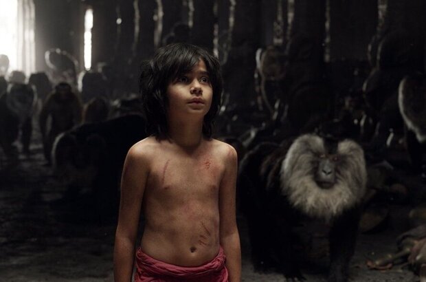 The Jungle Book (2016) - photo 12