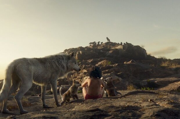 The Jungle Book (2016) - photo 16