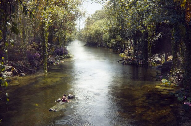 The Jungle Book (2016) - photo 3