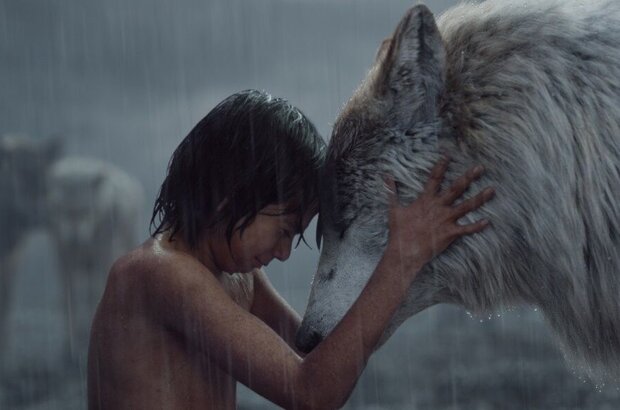 The Jungle Book (2016) - photo 13