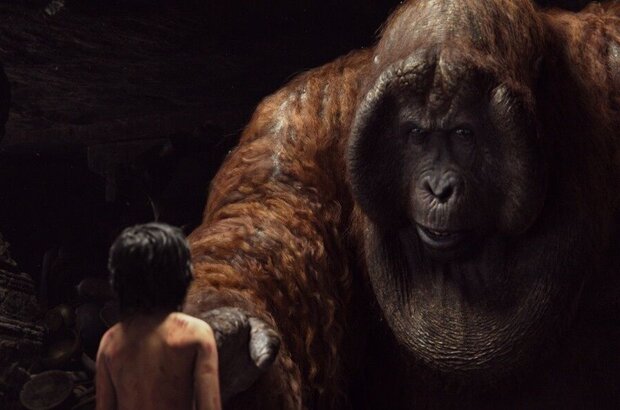 The Jungle Book (2016) - photo 18