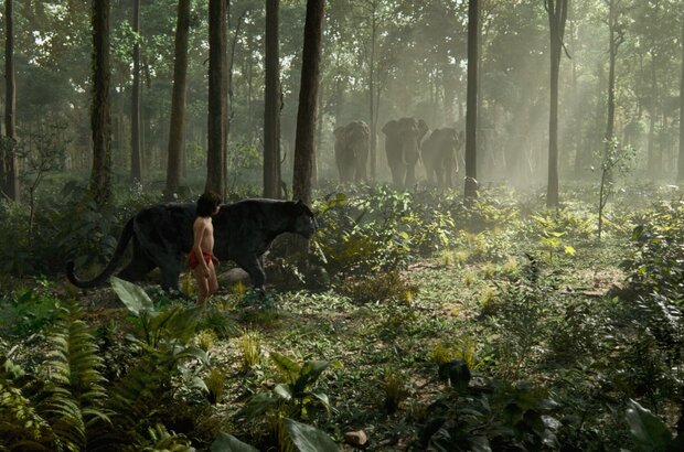 The Jungle Book (2016) - photo 4
