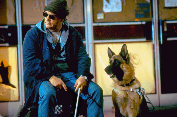 K-9: P.I. (2002) - photo 3