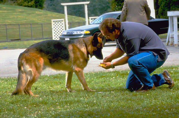 K-9: P.I. (2002) - photo 4