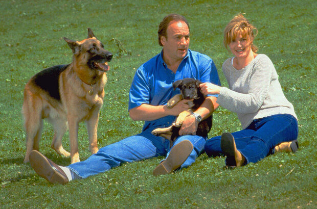 K-9: P.I. (2002) - photo 2
