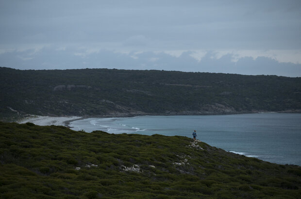 Blueback (2022) - photo 19