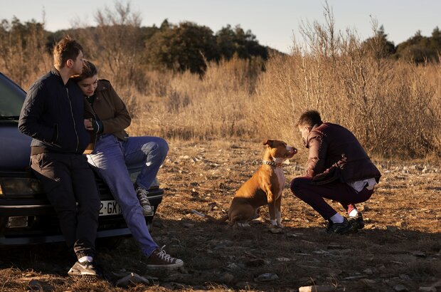 Junkyard Dog (2023) - photo 1