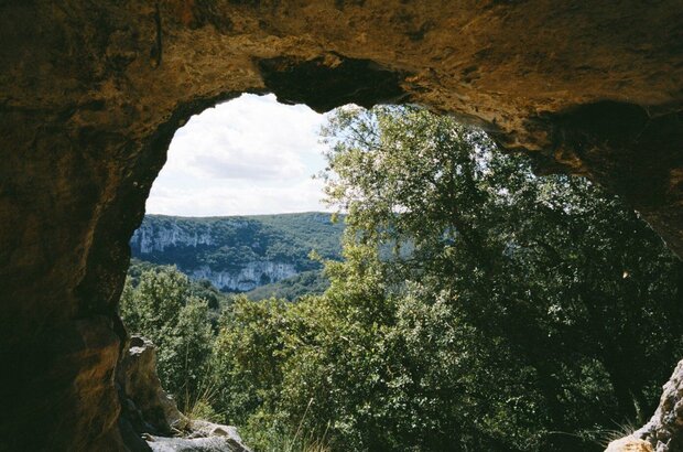 Cave of Forgotten Dreams (2011) - photo 3