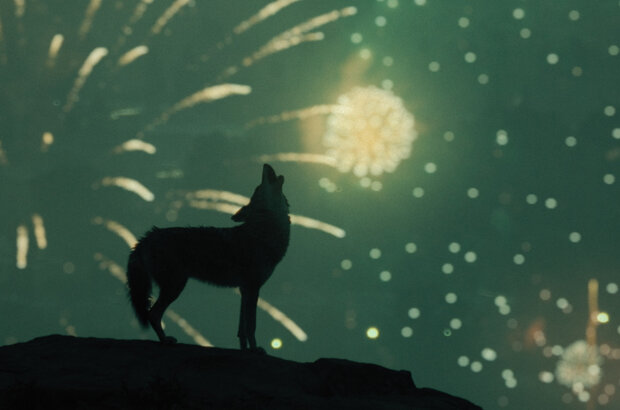 Something in the Dirt (2022) - photo 7