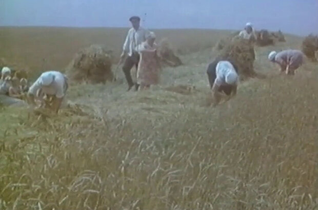 Праздники детства (1981) - фото 7