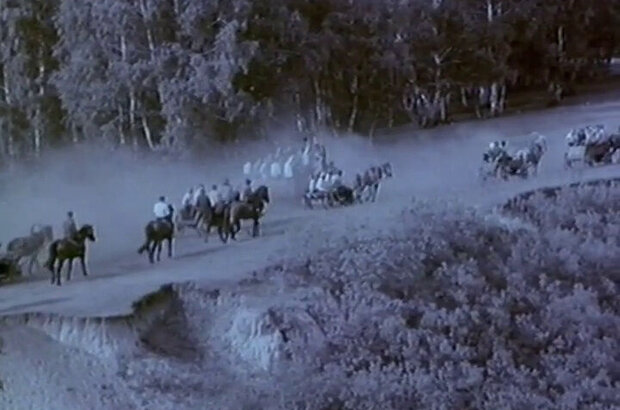 Праздники детства (1981) - фото 1