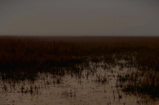 Indecipherable (2025) - photo 1