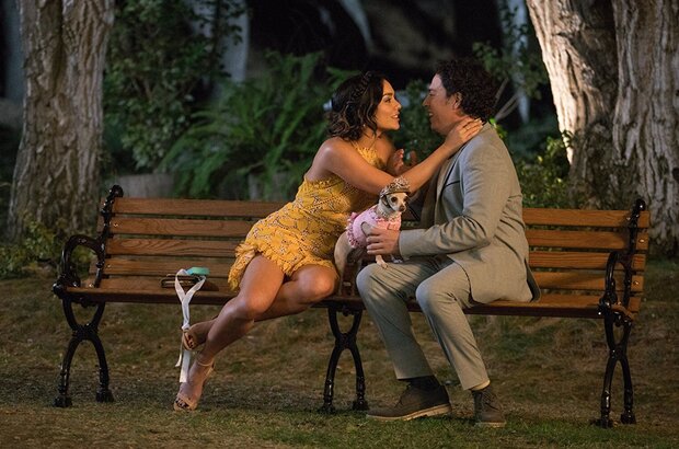 Dog Days (2018) - photo 1