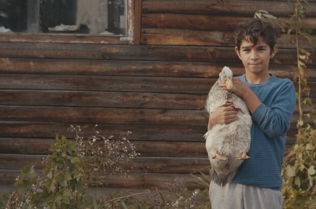 Gipsy (2024) - photo 10