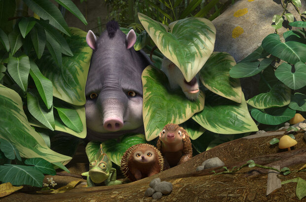 The Wild Life (2015) - photo 5