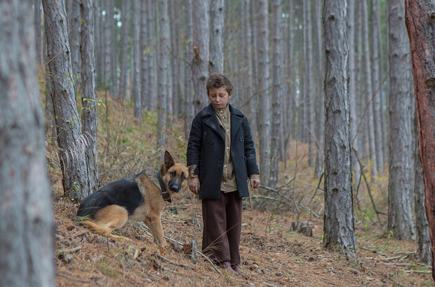 SHEPHERD: The Story of a Jewish Dog (2019) - photo 6