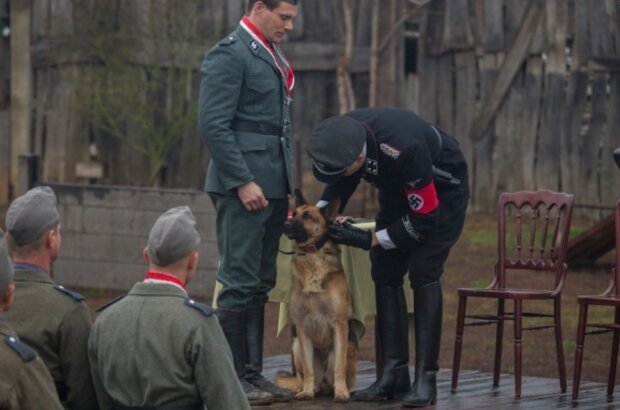 SHEPHERD: The Story of a Jewish Dog (2019) - photo 4