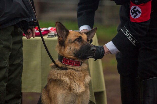 SHEPHERD: The Story of a Jewish Dog (2019) - photo 3