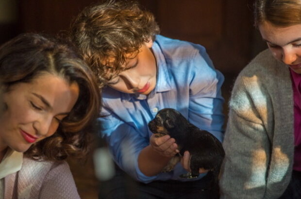 SHEPHERD: The Story of a Jewish Dog (2019) - photo 2