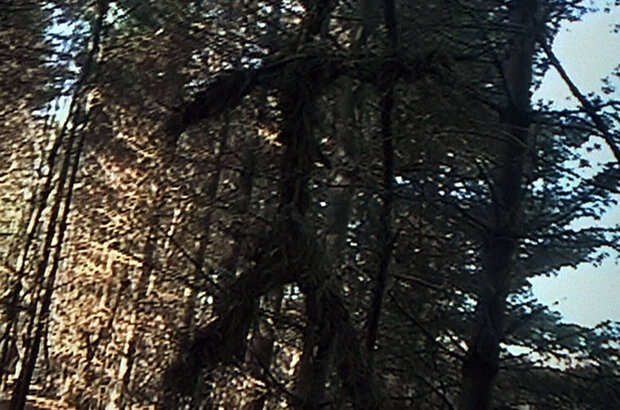 Ведьма из Блэр: Курсовая с того света (1999) - фото 2