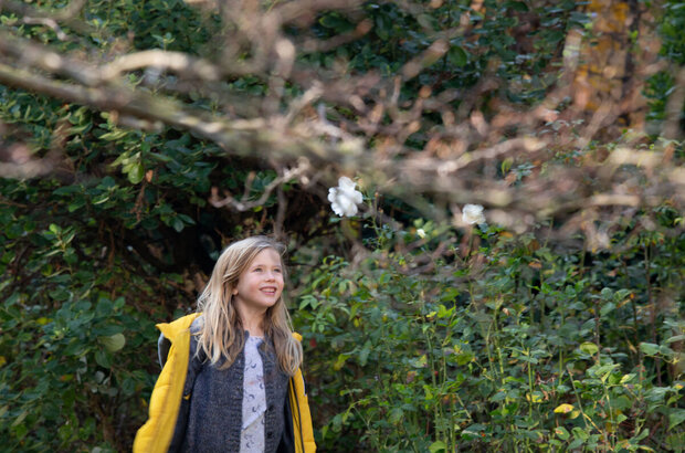 The Truth (2019) - photo 6